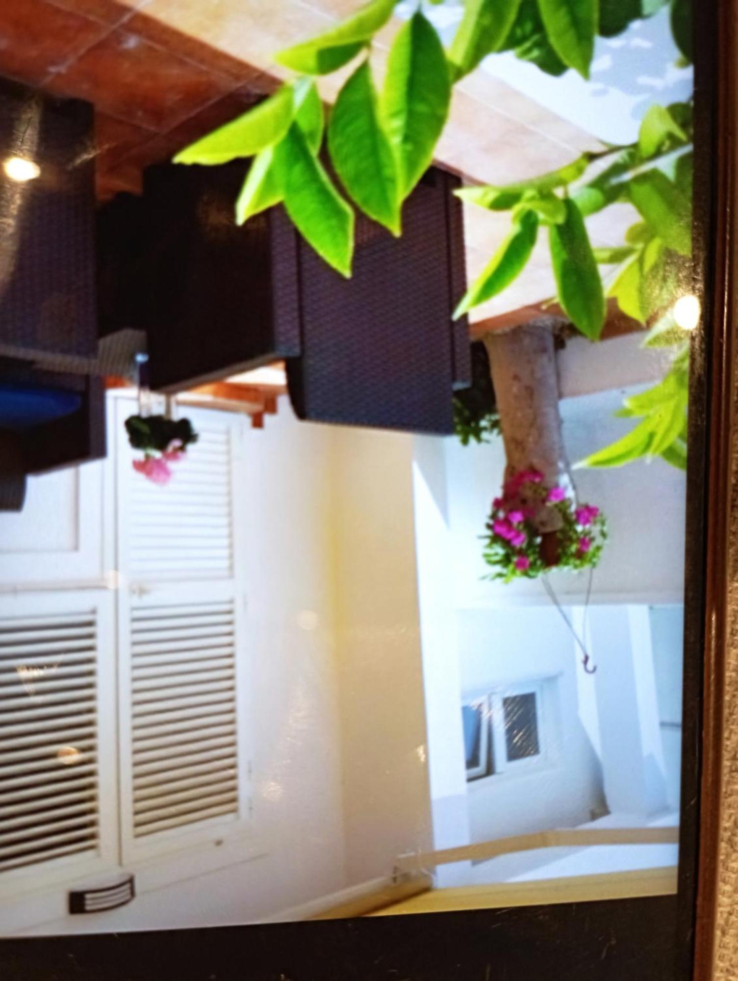 Apartmani Trubi 1 Vodice Extérieur photo